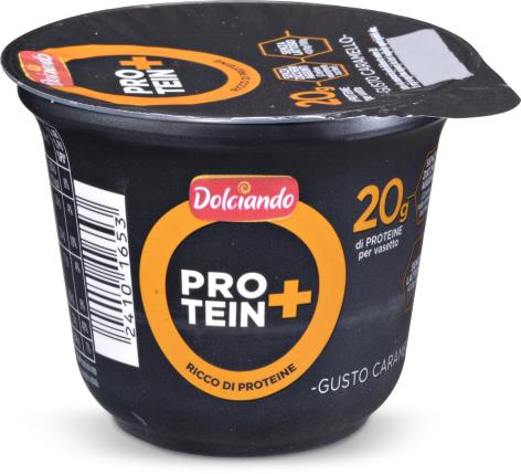 BUDINO PROTEICO AL CARAMELLO