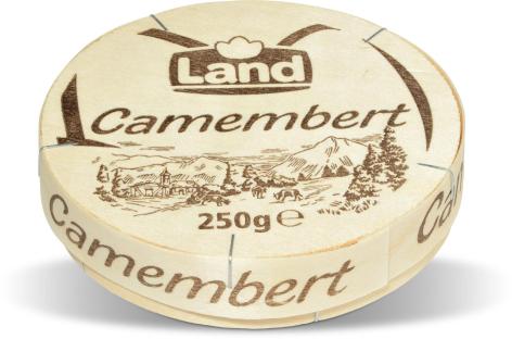 CAMEMBERT