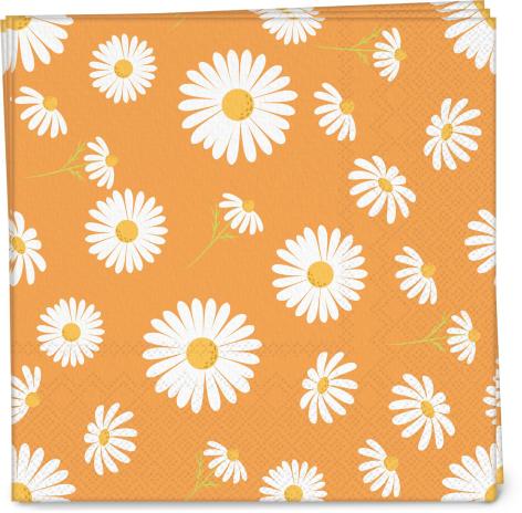 SET PIATTI/TOVAGLIOLI/BICCHIERI