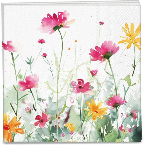 SET PIATTI/TOVAGLIOLI/BICCHIERI