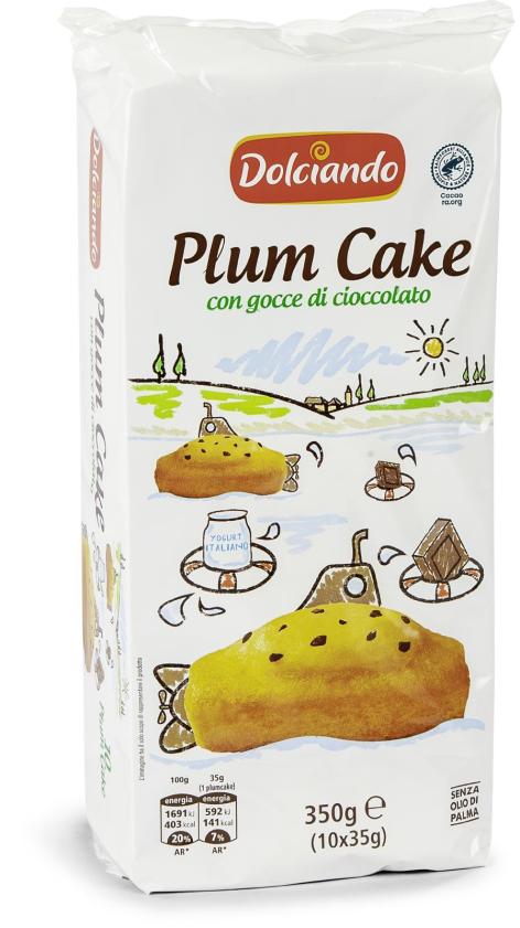PLUM CAKE CON GOCCE 
DI CIOCCOLATO, 10 PZ