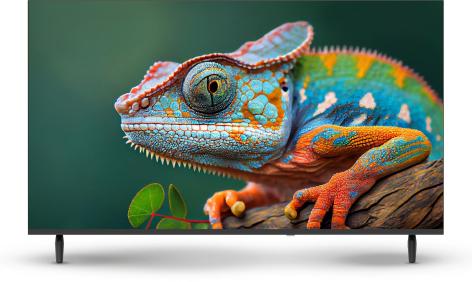 TELEVISORE SMART 40" LED FULL HD 'MAJESTIC' FL40VD