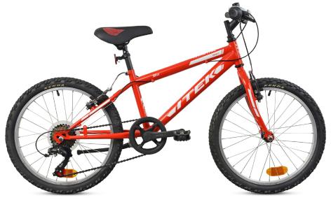 MOUNTAIN BIKE 20'' RAGAZZO