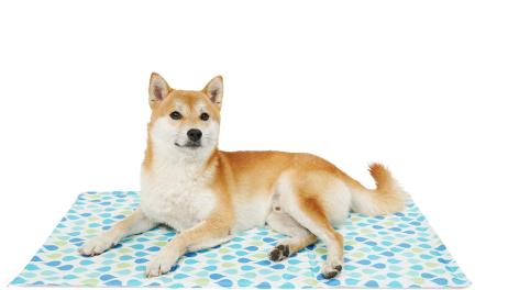 TAPPETO IN GEL REFRIGERANTE 90X50 CM