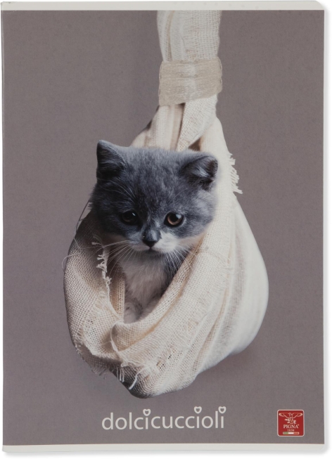 MAXIQUADERNI DOLCI CUCCIOLI /ANIMAL 'PIGNA'