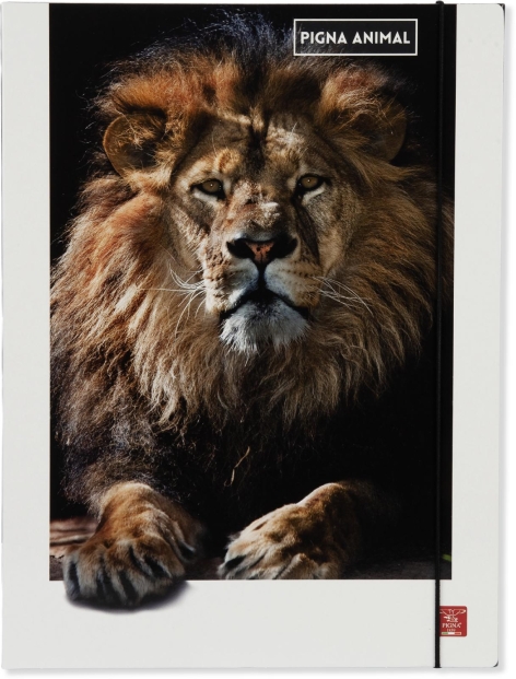 CARTELLA 3 LEMBI DOLCI CUCCIOLI/ANIMAL 'PIGNA'