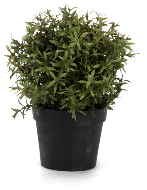 PIANTE ARTIFICIALI ASSORTITE