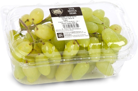 UVA BIANCA SENZA SEMI