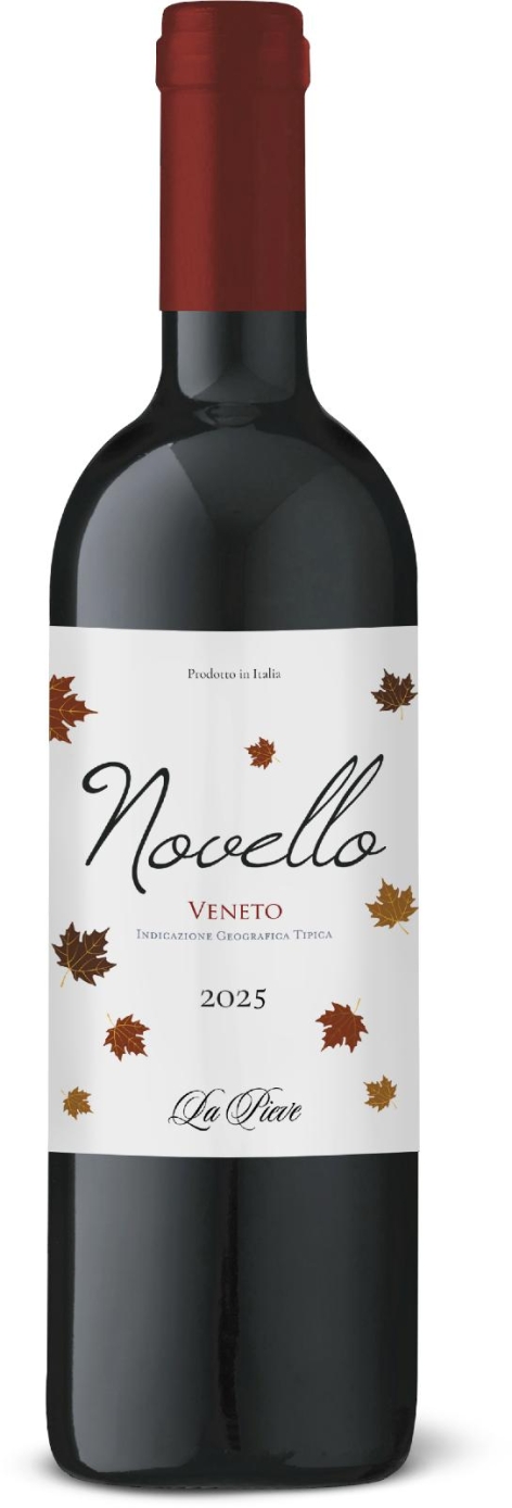 VINO NOVELLO IGT VENETO