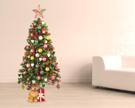 PINO CORTINA VERDE 180 CM