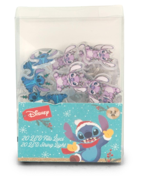 SET 20 LUCI A LED A LICENZA