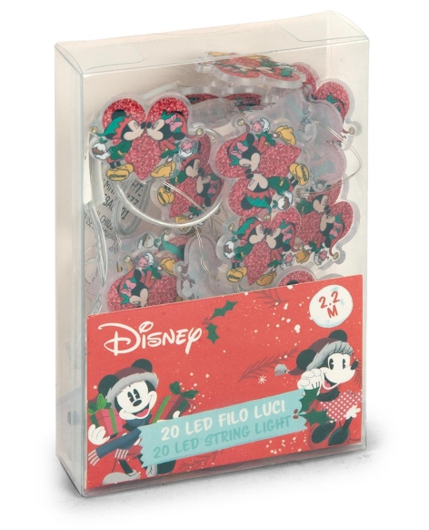 SET 20 LUCI A LED A LICENZA