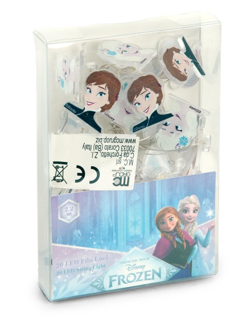 SET 20 LUCI A LED A LICENZA