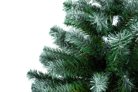 PINO INNEVATO 180 CM