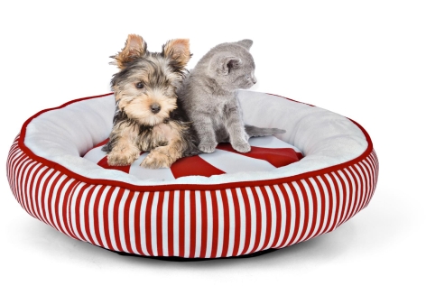 CUSCINO NATALIZIO PER ANIMALI DOMESTICI