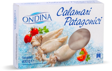 CALAMARI PATAGONICI INTERI PULITI