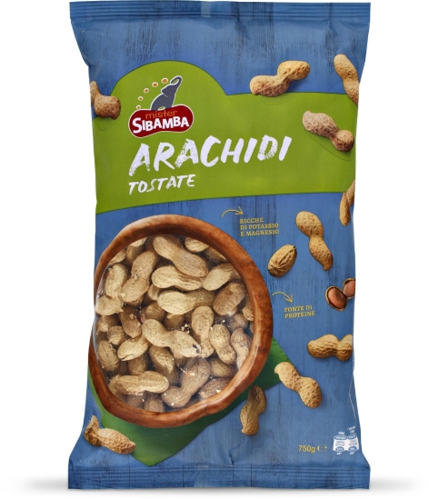 ARACHIDI TOSTATE