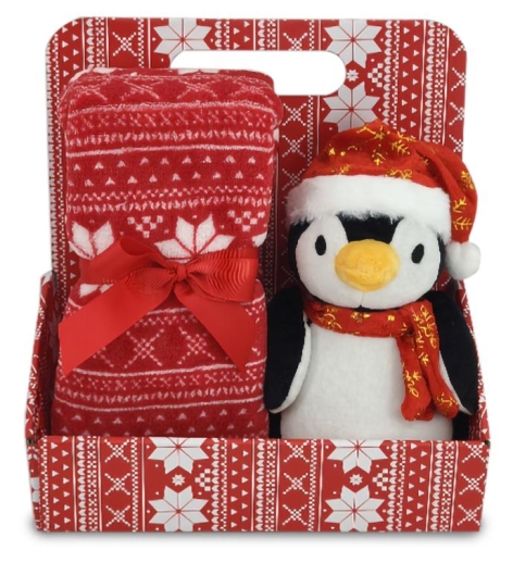 SET PELUCHE CON PLAID STAMPATO